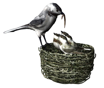 chickadees_worm_hungry_hg_wht