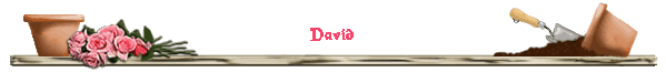 David
