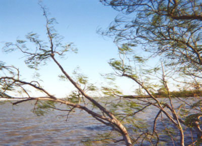 Also seen from the east side of the Delta Lake bridge, this is the lake as seen by looking southeast.