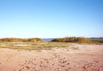 A shot of the beach, largely unkept.