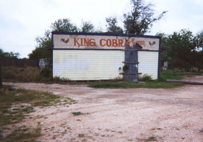 On W 5th Street, one block west of N Broadway, the King Cobra Lounge has been closed for a few years now, and doesn�t seem like a good candidate for reopening.