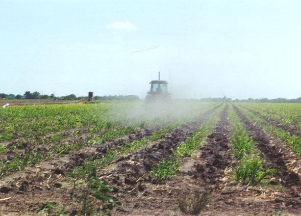 Agriculture is an important part of the Delta Area economy.