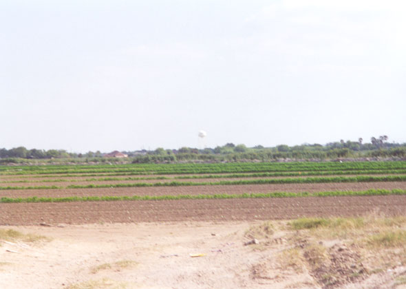Elsa at a distance from the bank of the canal along FM-1925 and M 4-W