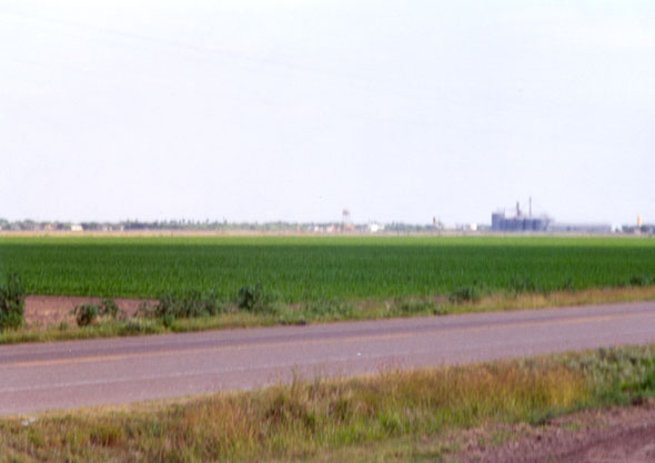 Edcouch seen at a distance from across a field on FM-1925 west of FM-491