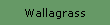 Wallagrass