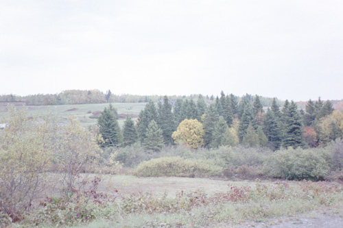 I lost my notes on this roll, but I believe that this is a scene taken from Joe Lamarre Road, near where it intersects with Strip Road in New Canada.