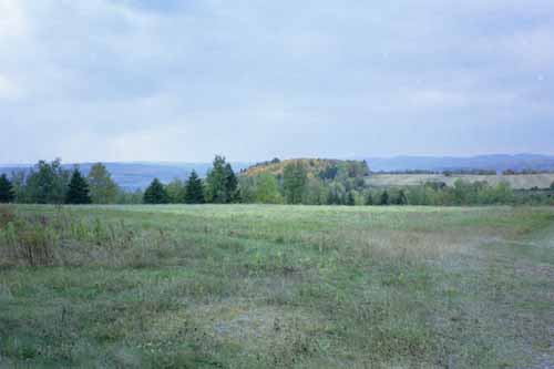 Agriculture and undeveloped land along New Canada Road.