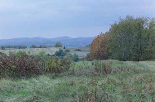 Agricultural and undeveloped property along New Canada Road.