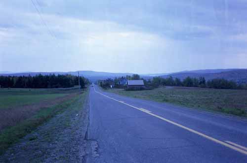 Looking north on Strip Road.
