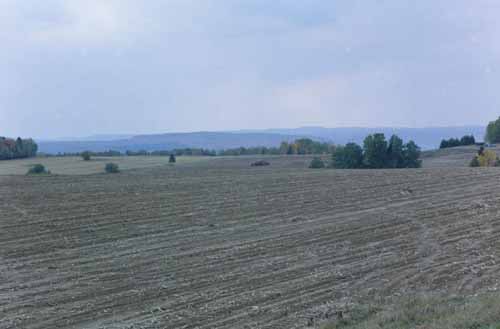 A potato field off of Strip Road.