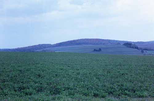 Farmland and rolling hills off of New Canada Road.