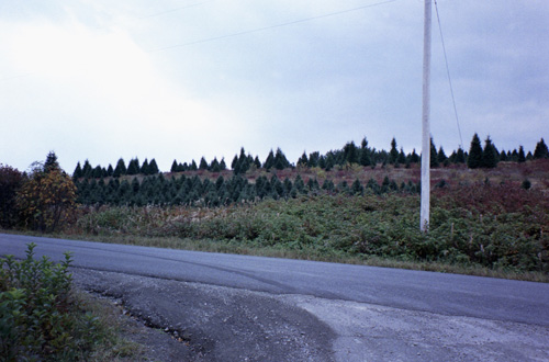 I believe that this is a view of Strip Road from Joe Lamarre Road.