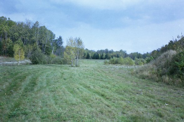 A field to the east of Church Street, north of St. Josephs church.