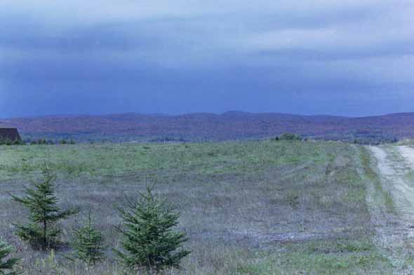 A view from Strip Road on the east side of Soldier Pond.