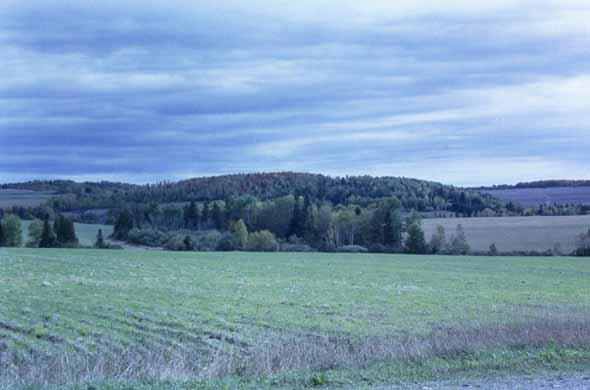 A view to the west from Strip Road.