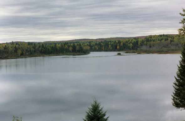 A view of the water from Soldier Pond.