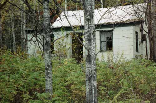 wgshouseloverslane02
